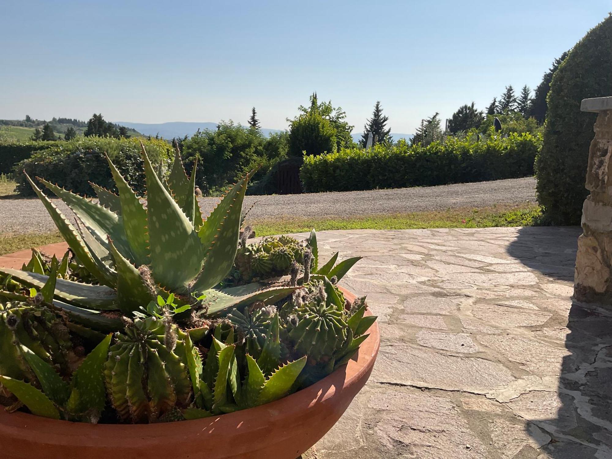 Villa Il Borraccio Tavarnelle Val di Pesa Экстерьер фото